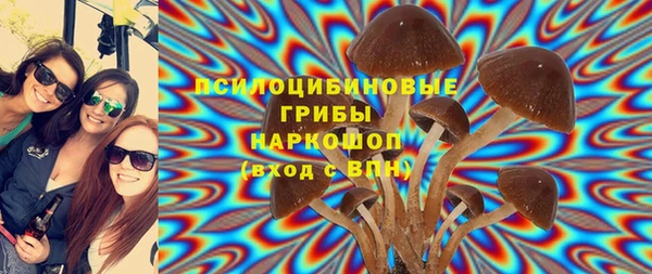 хмурый Бородино