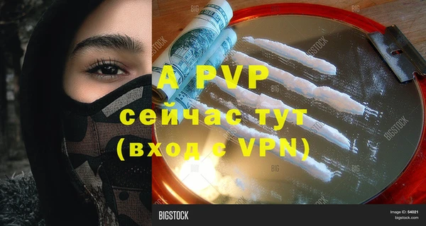 тгк Богданович