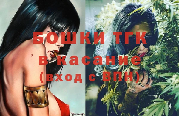ECSTASY Ладушкин