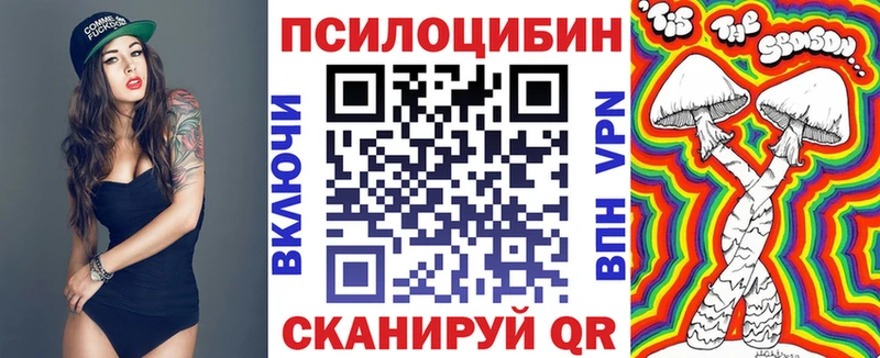 Псилоцибиновые грибы GOLDEN TEACHER  цены   Балтийск 